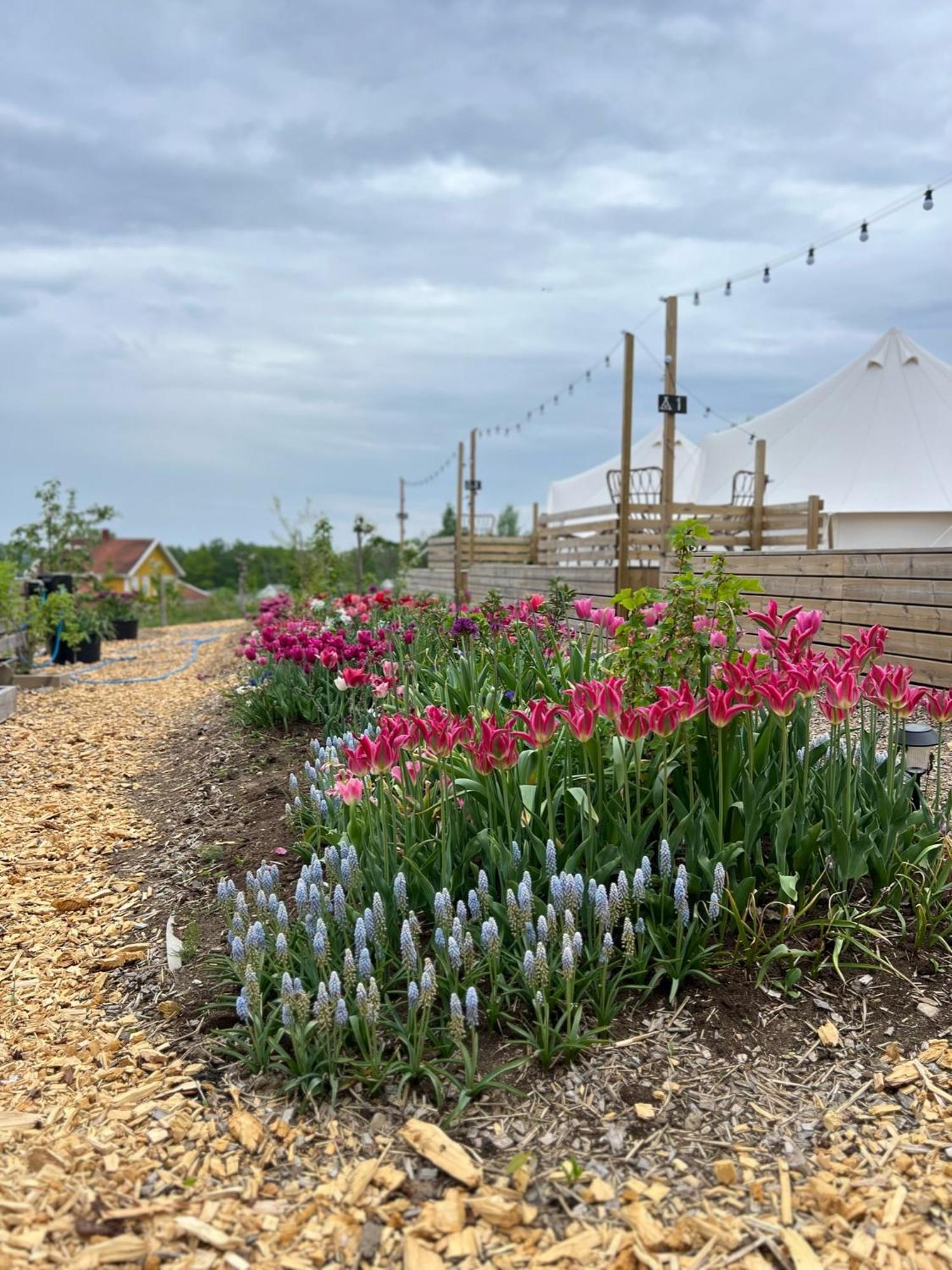 فندق Vaettervy Glamping Habo المظهر الخارجي الصورة