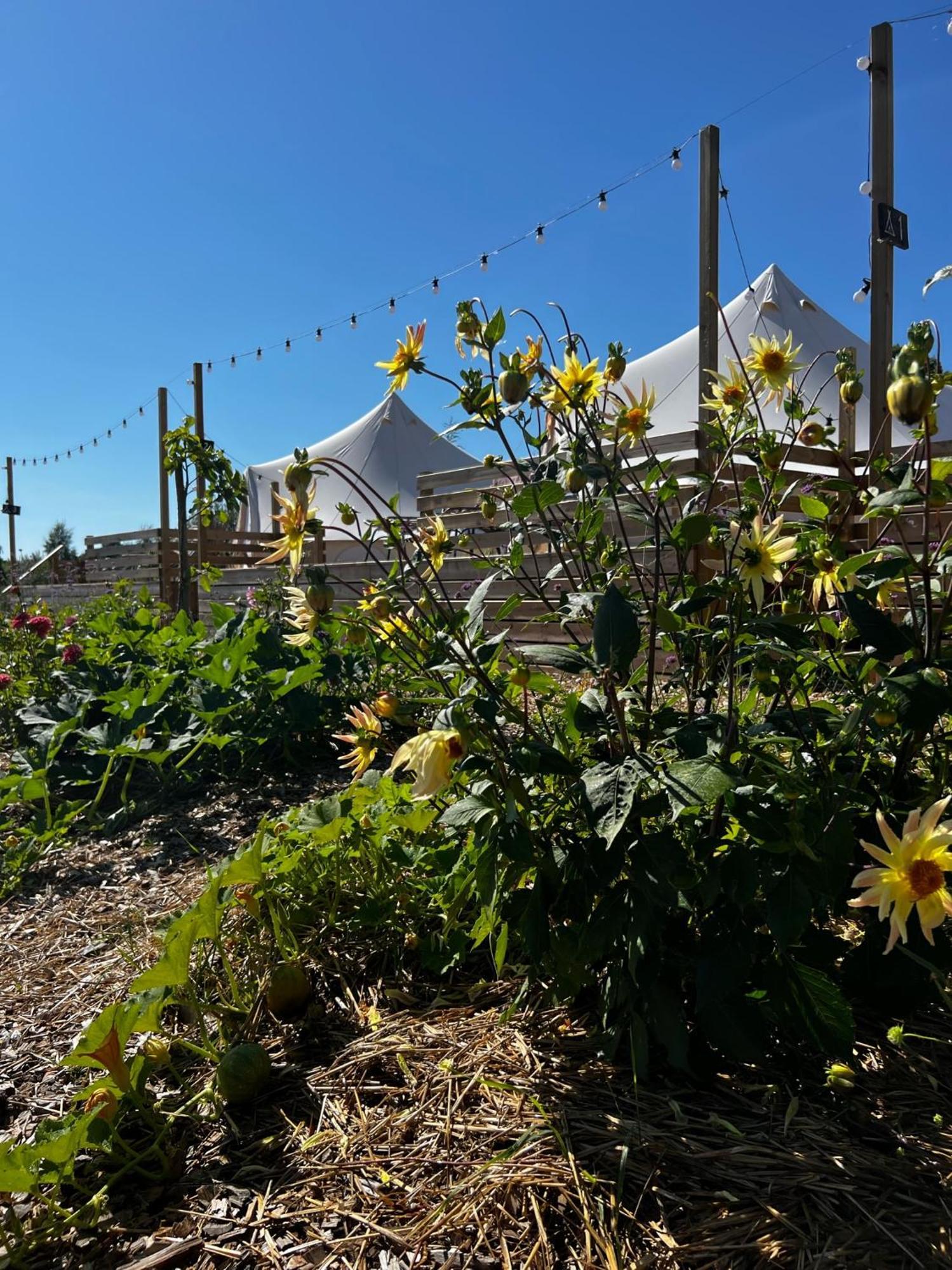 فندق Vaettervy Glamping Habo المظهر الخارجي الصورة